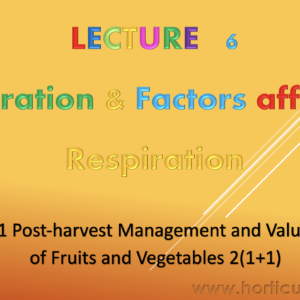 Respiration & Factors affecting Respiration PPT